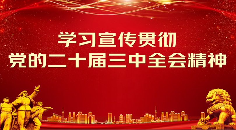 学习贯彻党的二十大三中全会精神